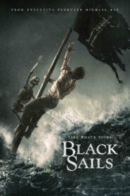 Black Sails: Season 2