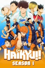 Haikyu!!: Season 1