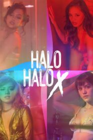 Halo-halo X