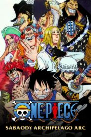 One Piece: Season 11