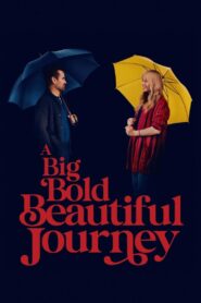 A Big Bold Beautiful Journey