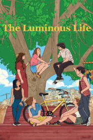 The Luminous Life